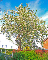 Ferienwohnung in Süssau - Seeblick - Bild 24