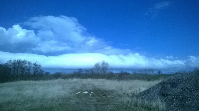 Ferienwohnung in K&uuml;hlungsborn - Sch&ouml;nrock - Bild 8