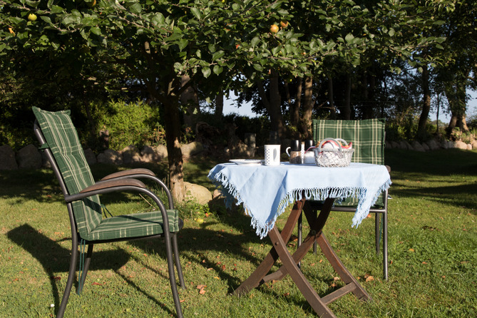Ferienhaus in Grube - Rosenfelde - Auch unter B&auml;umen l&auml;sst es sich gut tafeln
