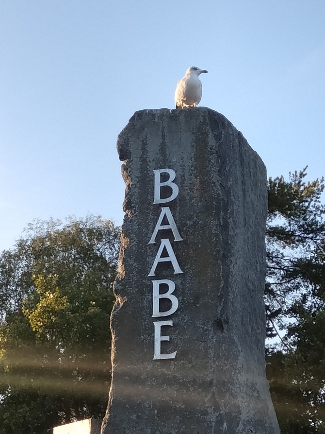 Ferienwohnung in Baabe - D&uuml;nenkieker - Bild 15