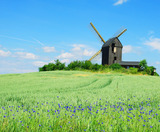 Ferienwohnung in Zinnowitz - Achtern Strand - Windm&uuml;hle bei Pudagla