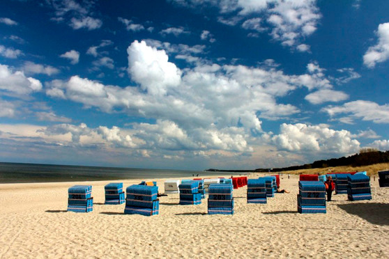 Ferienwohnung in Trassenheide - Strandidyl im K&uuml;stenwald - Bild 14