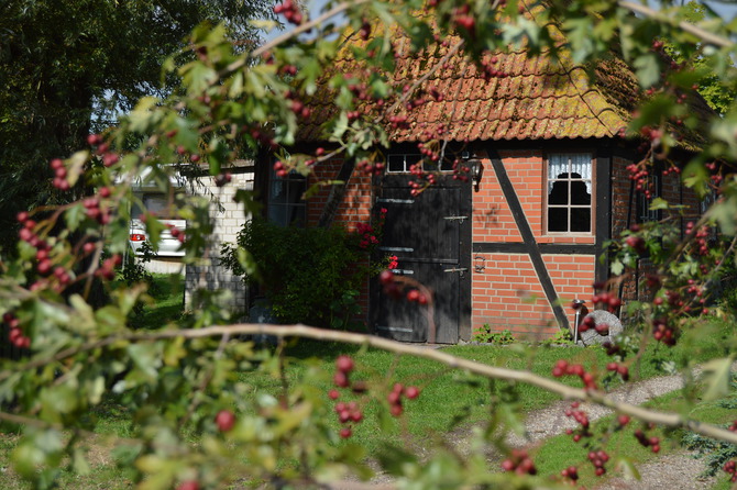 Ferienwohnung in Rettin - Bauernferienhof Kluvetasch Seestern - Grillh&auml;uschen Ferienhof Kluvetasch