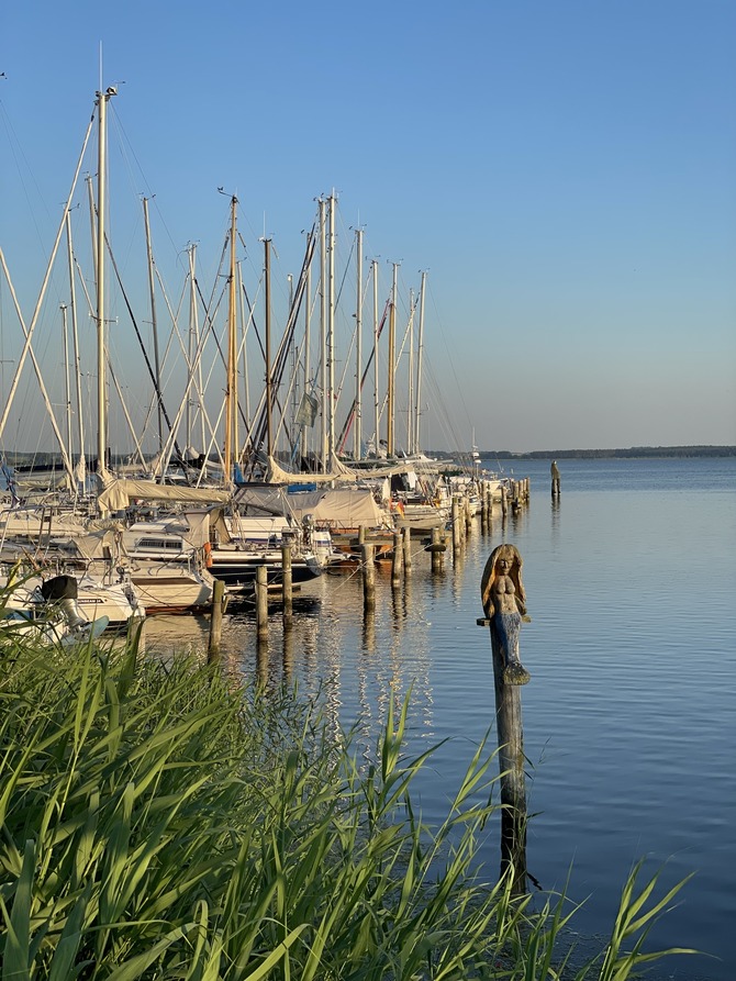 Ferienhaus in Rerik - Haus Am Strand - Haff