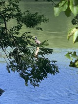 Ferienwohnung in Lassan - Haus Achterwasserm&uuml;cke - Bild 12