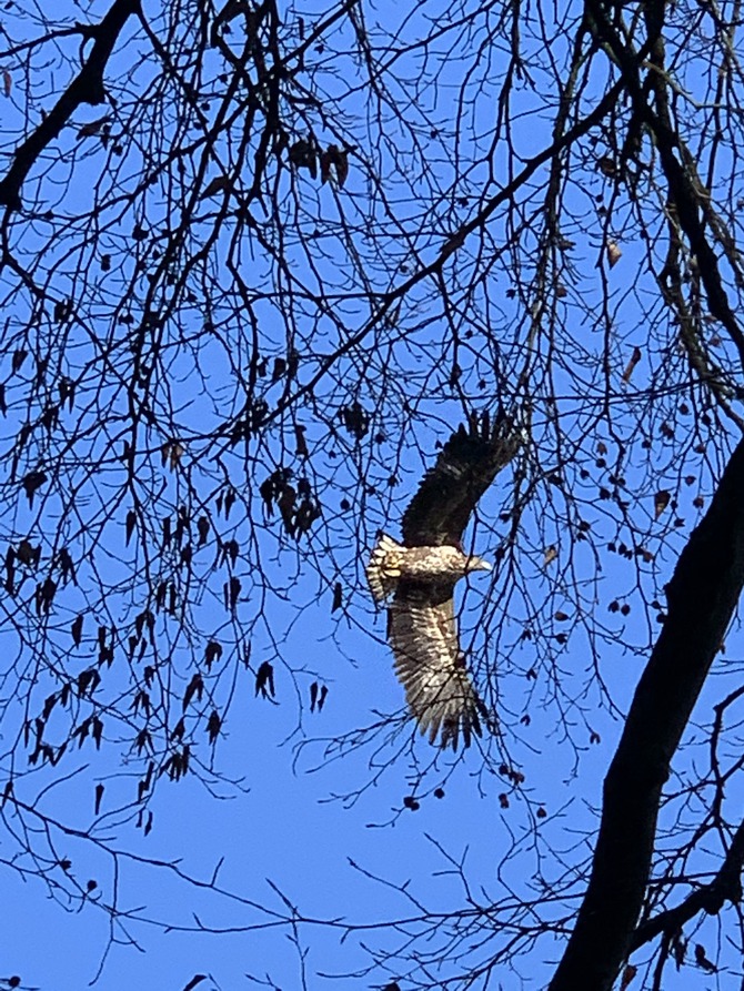 Ferienwohnung in Lassan - Haus Achterwasserm&uuml;cke - Bild 17