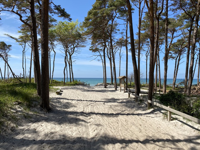 Ferienwohnung in Prerow - Haus zur See - WG Gruzdz - Weg zum Weststrand