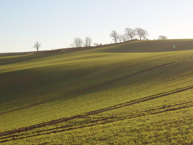 Ferienhaus in Döhnsdorf - Landhaus Unter dem Reetdach - Holsteinische Hügellandschaft