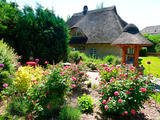 Ferienhaus in Döhnsdorf - Landhaus Unter dem Reetdach - Blumengarten