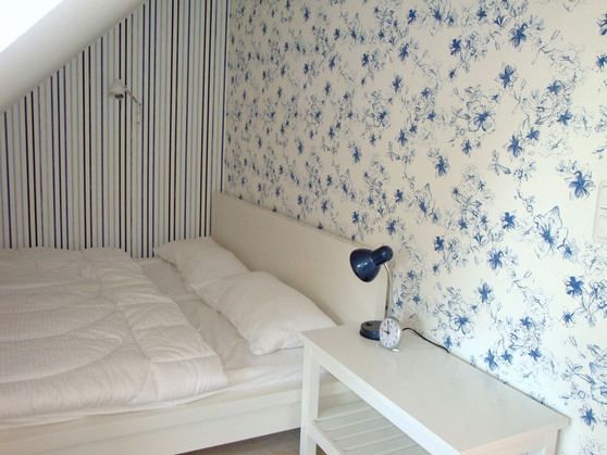 Ferienhaus in Rakow - Haus Dornr&ouml;schen - Bild 8