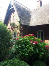 Ferienwohnung in Sch&ouml;nwalde - Reethaus Scheidekate - Bild 16