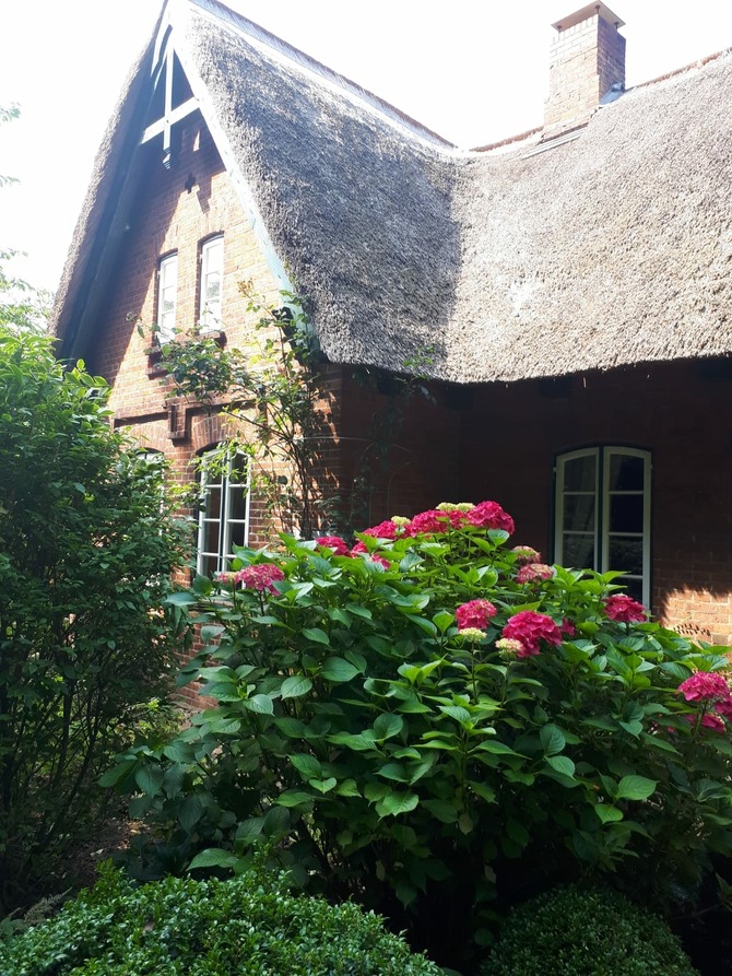 Ferienwohnung in Sch&ouml;nwalde - Reethaus Scheidekate - Bild 16