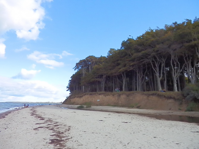 Ferienwohnung in Wittenbeck - Ostseetraum an der K&uuml;hlung - Bild 15