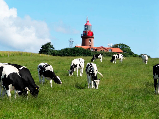 Ferienwohnung in K&auml;gsdorf - Hof Hoogendoorn - Bild 10