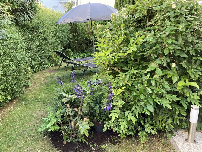 Ferienwohnung in K&uuml;hlungsborn - Strandstrasse-OstSeegarten - Der Garten