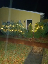 Ferienwohnung in &Uuml;ckeritz - FeWo 9 - Bild 13