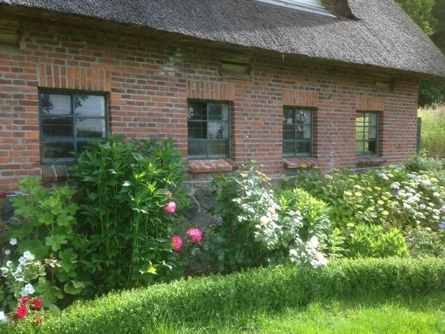 Ferienwohnung in Gro&szlig; Wittensee - Hoheluft am Wittensee Apt. 1 - Bild 19