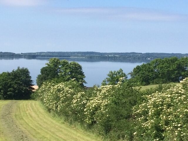Ferienwohnung in Gro&szlig; Wittensee - Hoheluft am Wittensee Apt. 1 - Bild 23