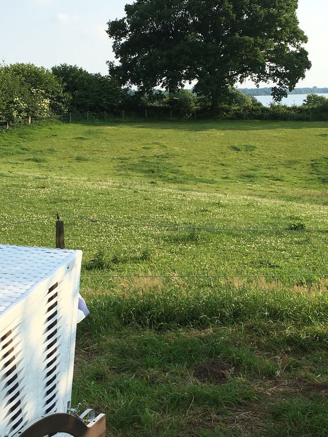 Ferienwohnung in Gro&szlig; Wittensee - Hoheluft am Wittensee Apt. 3 - Bild 15