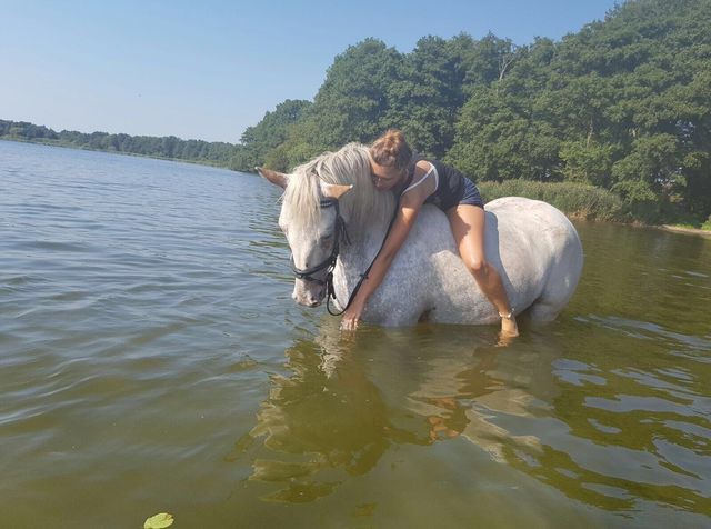 Ferienwohnung in Gro&szlig; Wittensee - Hoheluft am Wittensee Apt. 3 - Bild 16