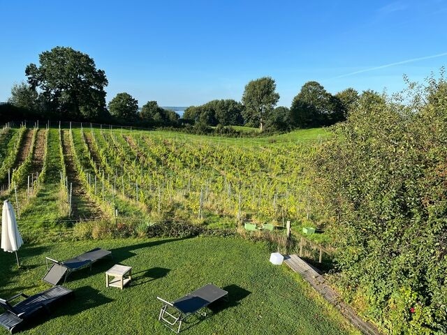 Ferienwohnung in Gro&szlig; Wittensee - Hoheluft am Wittensee Apt. 2 - Bild 12