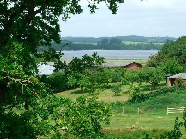 Ferienwohnung in B&uuml;nsdorf - Ferienwohnung Seeblick - Bild 9