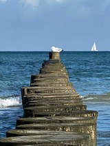 Ferienwohnung in Heiligenhafen - Ostsee - Appartement Nr. 81 "Auszeit" im Strand Resort - Bild 22