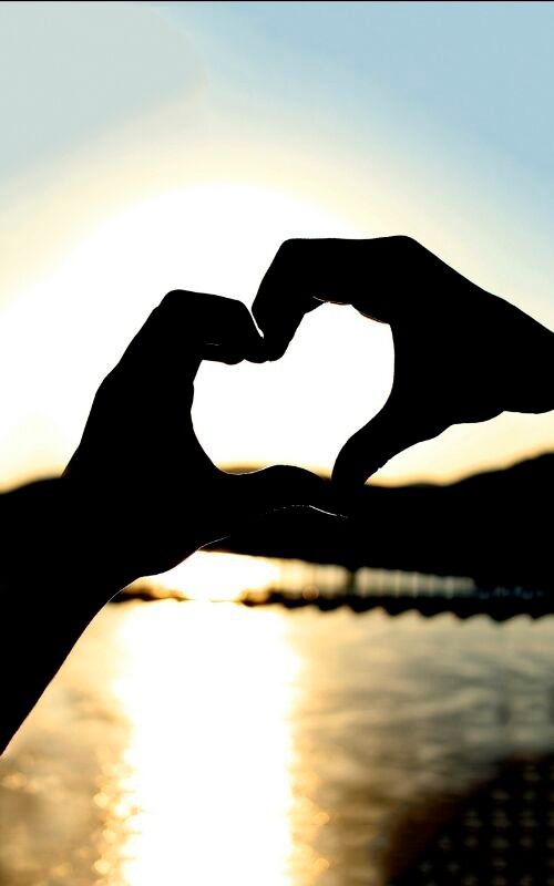 Ferienhaus in Fehmarn OT Neue Tiefe - "Ferienhaus Strandl&auml;ufer" - Bild 5