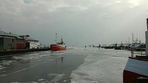 Ferienwohnung in Fehmarn OT Todendorf - FW Einfeldt - Bild 14