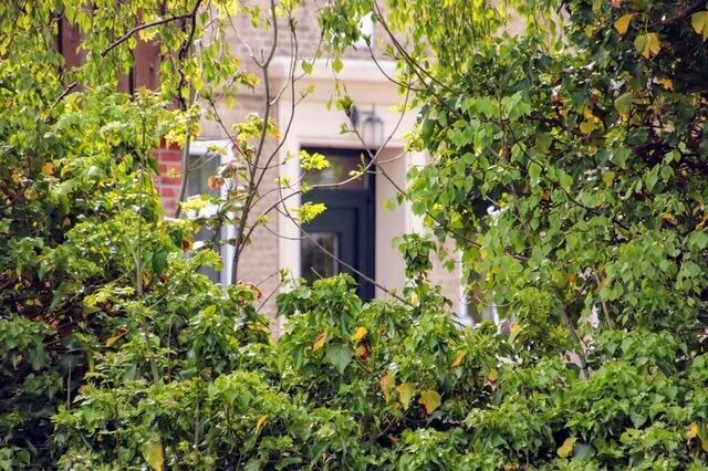 Ferienwohnung in Fehmarn OT Vadersdorf - RosenG&auml;rtchen - Bild 22