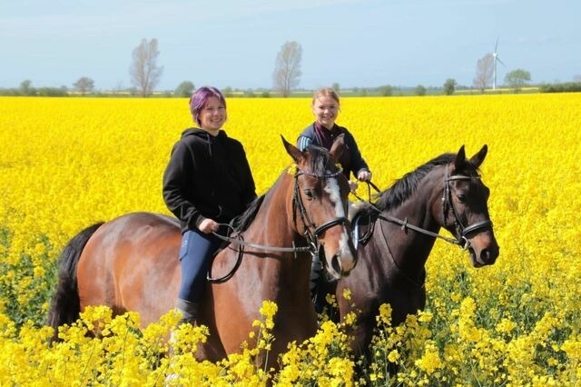 Ferienwohnung in Fehmarn OT Vadersdorf - RosenG&auml;rtchen - Bild 23