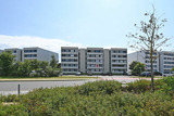 Ferienwohnung in Fehmarn OT Burgtiefe - Ferienwohnung Thordsen 5 - Bild 1