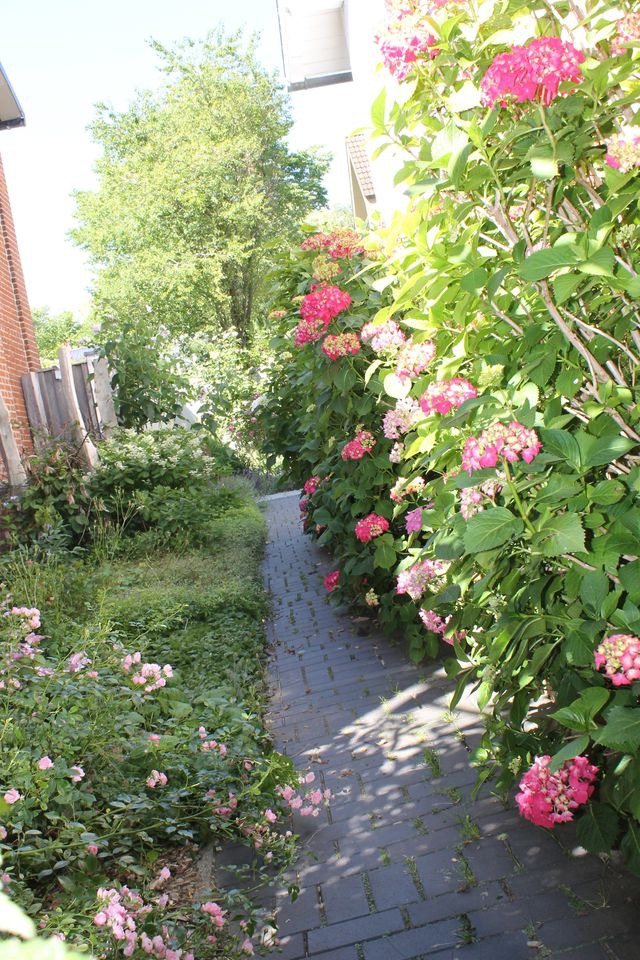 Ferienwohnung in Fehmarn OT Burg - Villa Pura Vida - Bild 19