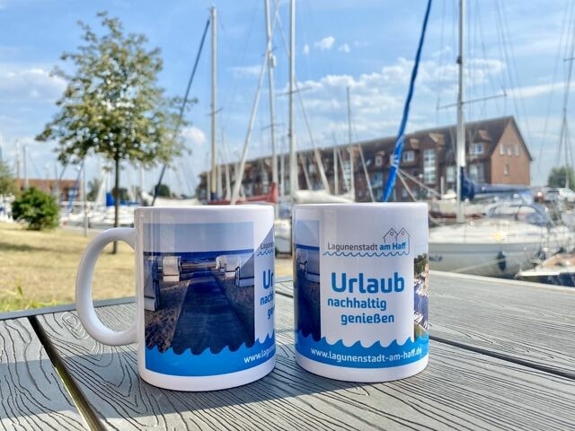 Ferienwohnung in Ueckerm&uuml;nde - Lagunenstadt am Haff Fewo 90 - Rah - Bild 17