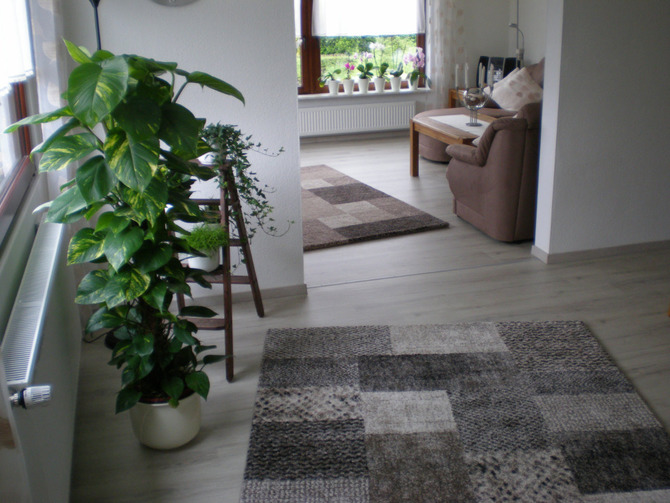Ferienwohnung in P&ouml;nitz - Ferienwohnung P&ouml;nitz - Bild 2