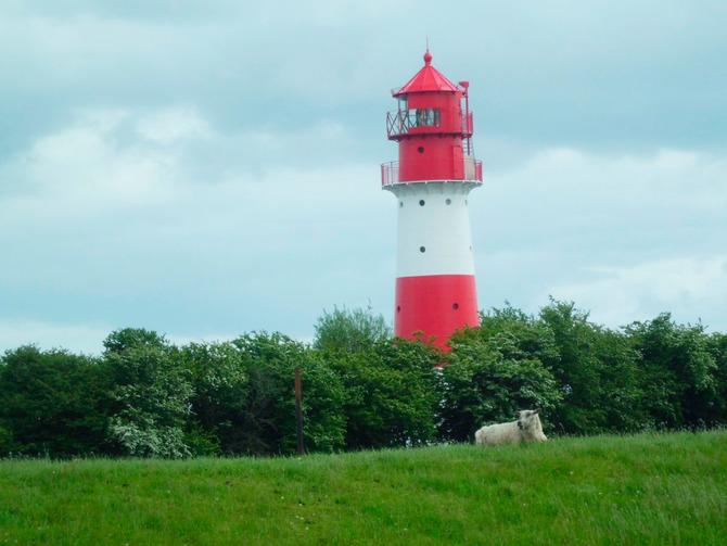 Ferienwohnung in Hasselberg - Ferienhaus Eckeberg - Falsh&ouml;ft