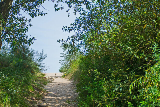 Ferienhaus in &Uuml;ckeritz - Seestern - Bild 13
