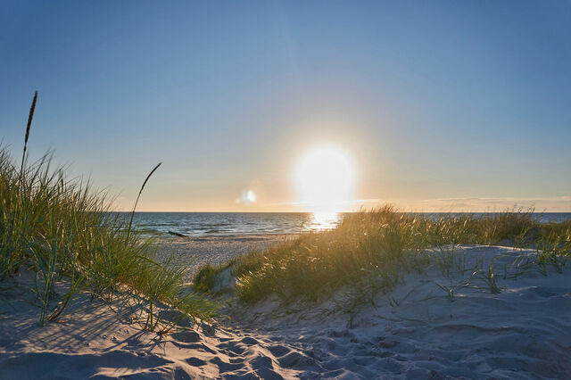 Ferienhaus in &Uuml;ckeritz - Herzmuschel - Bild 15
