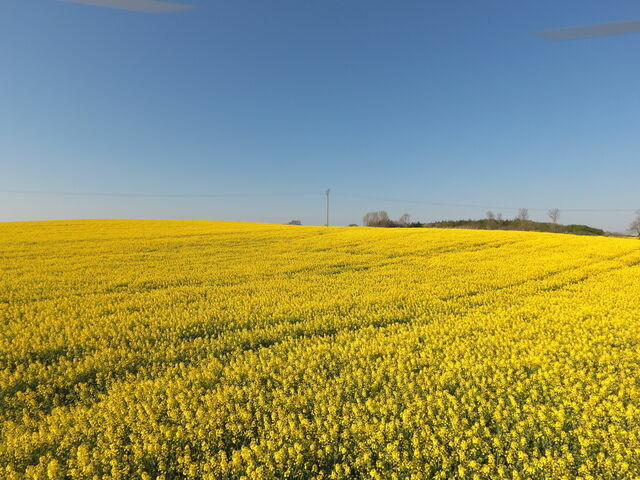 Ferienwohnung in Rabenkirchen-Faul&uuml;ck - Appartement Schleipanorama - Bild 11