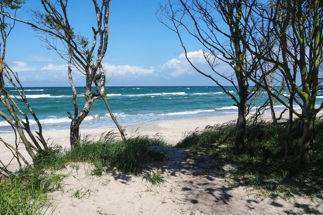 Ferienwohnung in Graal-M&uuml;ritz - Ferienwohnung Windfl&uuml;chter - Bild 9