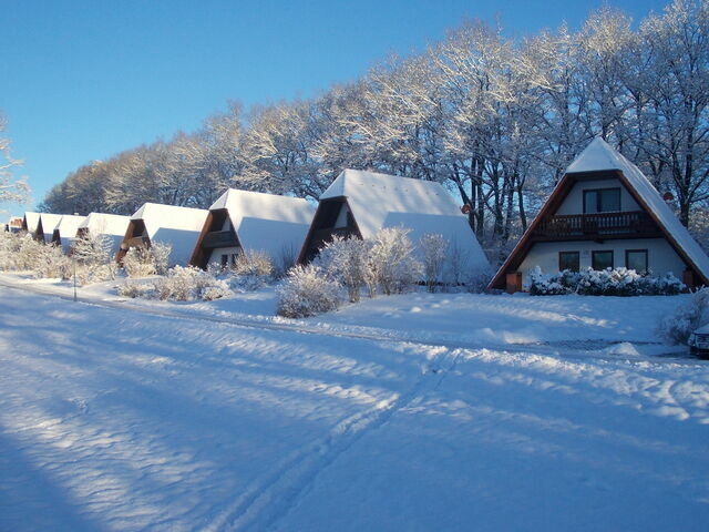 Ferienhaus in Marlow - Finnh&auml;user am Vogelpark - Haus Elke - Bild 20