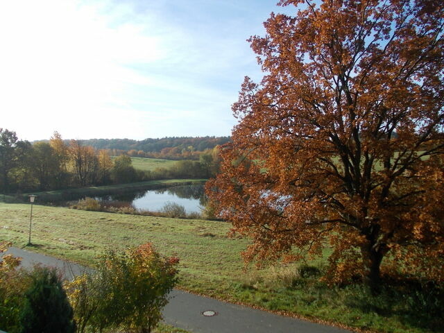 Ferienhaus in Marlow - Finnh&auml;user am Vogelpark - Haus Elke - Bild 21