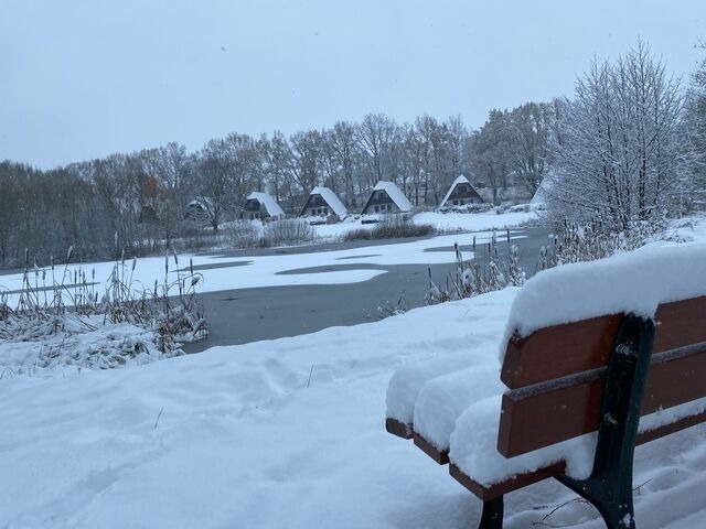 Ferienhaus in Marlow - Finnh&auml;user am Vogelpark - Haus Brigitte - Bild 17