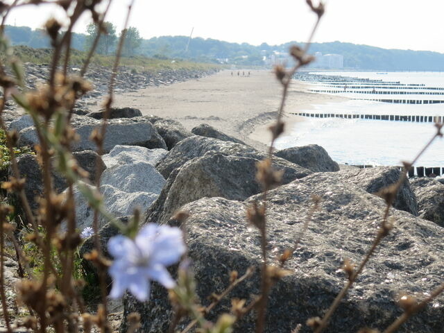 Ferienwohnung in B&ouml;rgerende-Rethwisch - Fachwerkhaus am Meer | App. 4 - Bild 18