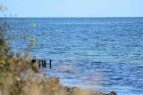 Ferienhaus in Fehmarn OT Staberdorf - Fehmarnstrand 78 RH 8 - Bild 20