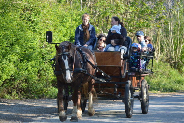Ferienwohnung in Fehmarn OT Staberdorf - Bauernhaus 2, inkl. 1 Parkplatz - Bild 9