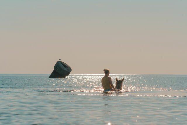 Ferienwohnung in Fehmarn OT Westermarkelsdorf - Willy Willy - Bild 14