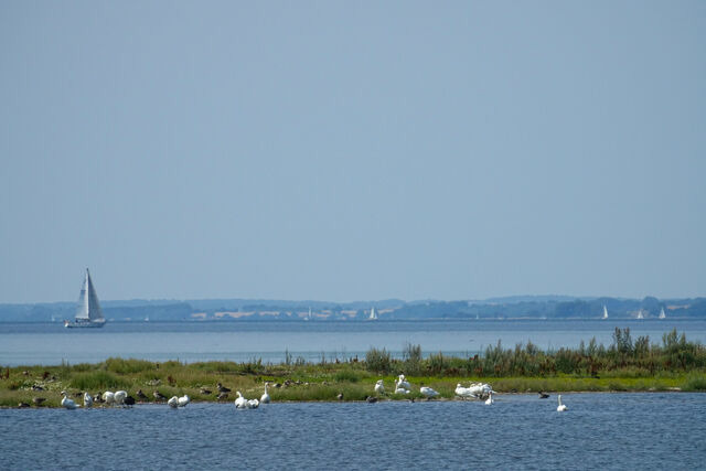 Ferienhaus in Nieby - Helenes H&auml;uschen - Schloss Gelting - Bild 14
