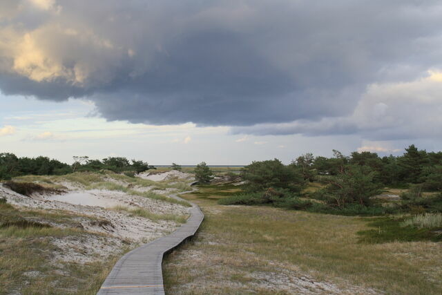 Ferienwohnung in Prerow - FeWo K&auml;uzchen - Ulenhoef - Bild 9