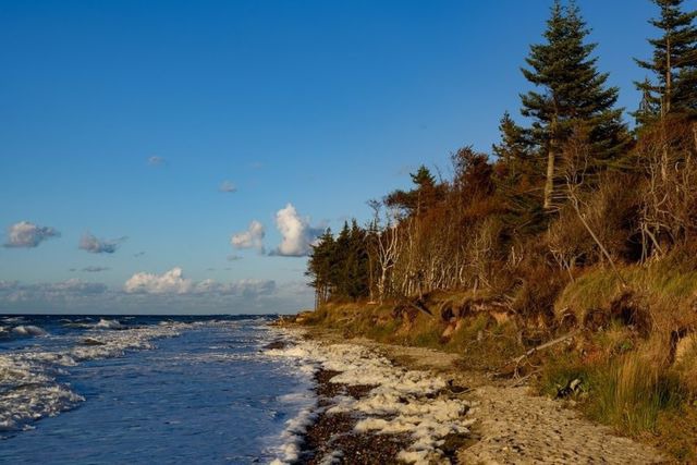 Ferienwohnung in Graal-M&uuml;ritz - Strandhafer - Bild 20